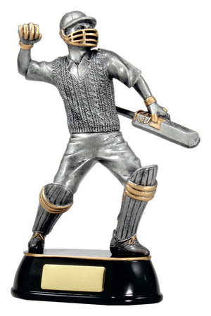 Cricket Celebration Trophy - eagle rise sports