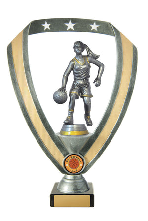 Backstand/Base/Basketball F.