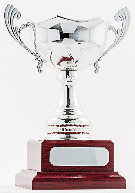 Silver Cup