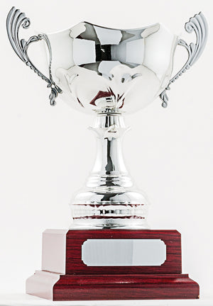 Silver Cup