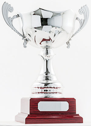 Silver Cup