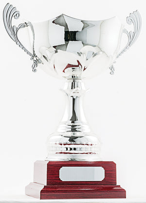 Silver Cup