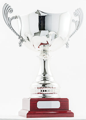 Silver Cup