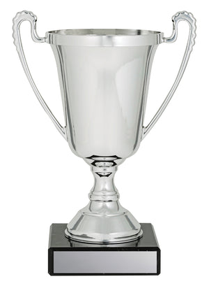 The Moment Silver trophy cup - eagle rise sports