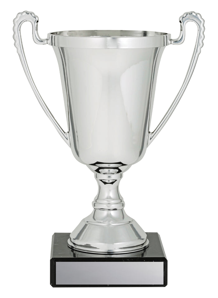 The Moment Silver