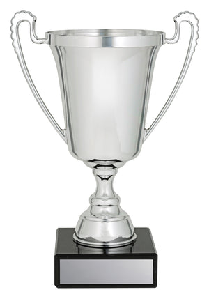 The Moment Silver trophy cup - eagle rise sports