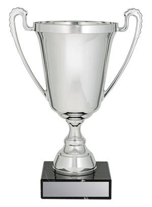 The Moment Silver trophy cup - eagle rise sports