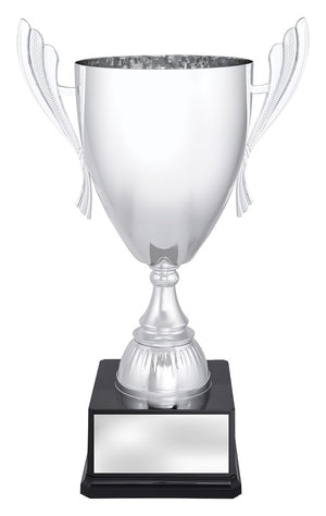 Ironside Silver Cup - eagle rise sports