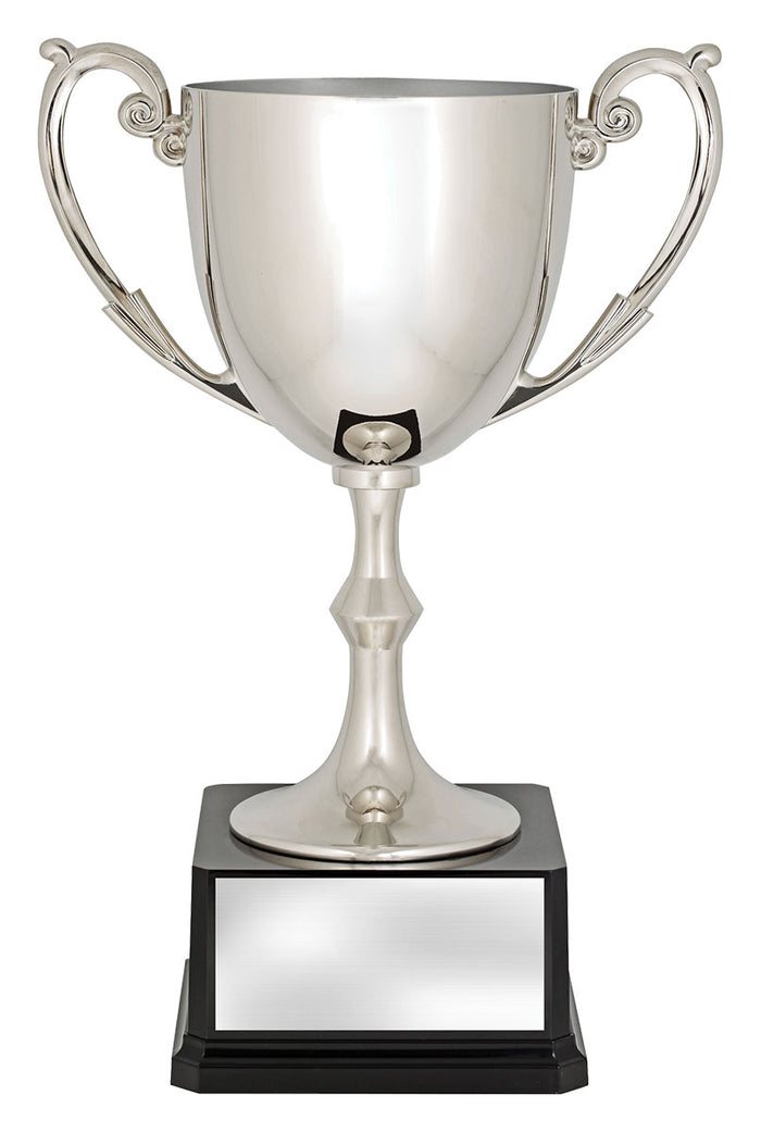 Recognition Cup