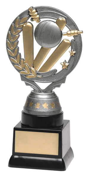 Cricket Silver Torch