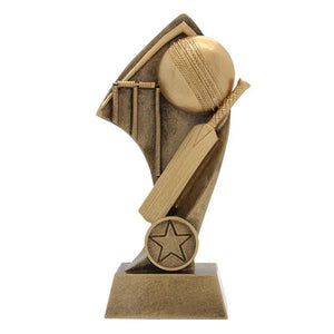 Cricket Generic Trophy - eagle rise sports