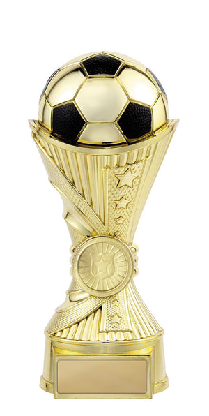 Invictus-Football trophy - eagle rise sports