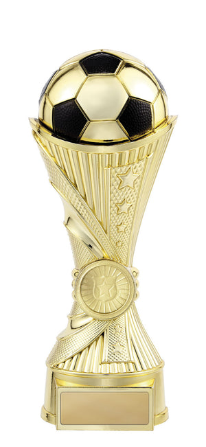 Invictus-Football trophy - eagle rise sports