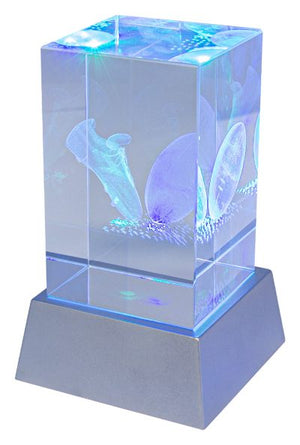 Light Up Crystal