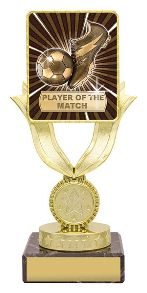 Lynx Bold Player of the Match trophy - eagle rise sports