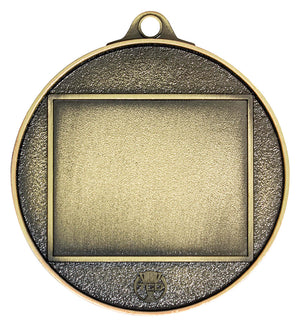 Rugby Medal – Insert Option Gold medal - eagle rise sports