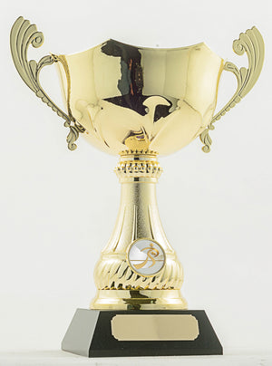 Rugby Trophy - eagle rise sports