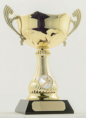 Rugby Trophy - eagle rise sports