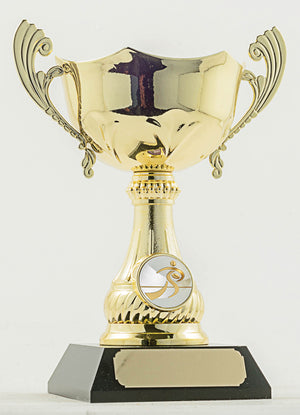 Rugby Trophy - eagle rise sports