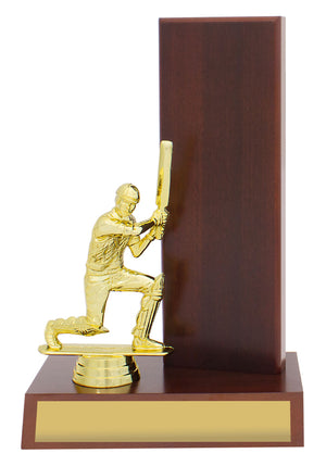 Timber Wing Batting Trophy - eagle rise sports
