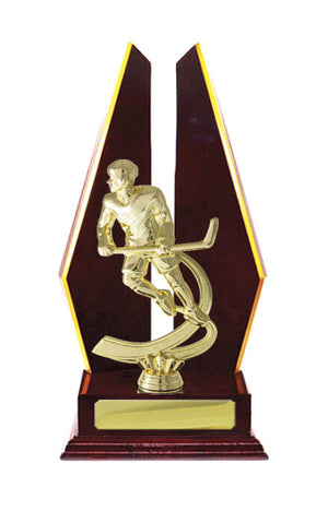 Timber_Buildup_Ice_Hockey_Trophies 