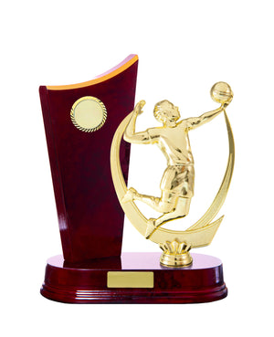 Timber-Buildup-Volleyball-Trophies 
