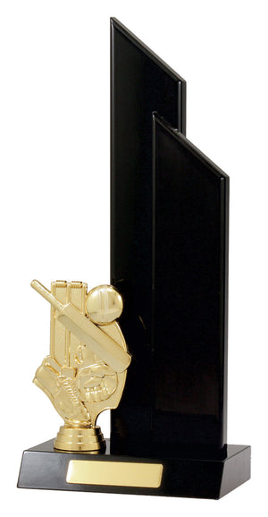 Cricket Double Wing Trophy - eagle rise sports