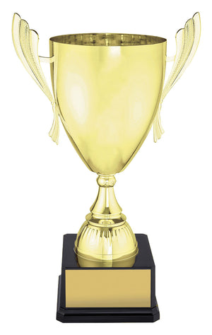 Ironside Gold Cup