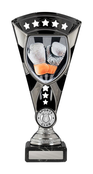Cobra Cup-Boxing