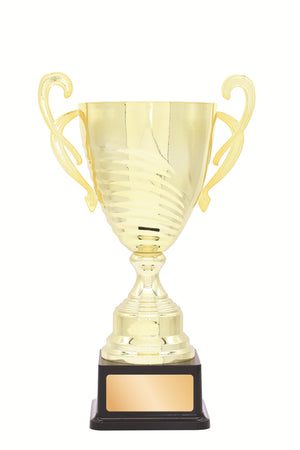 Metal Cup Trophy - eagle rise sports