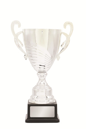 Metal Cup Trophy - Eagle rise sports