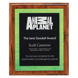 Vivid Plaque - Green