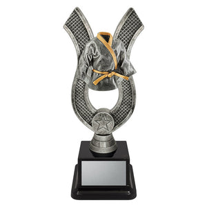 Anchor_Martial_Arts_Trophies 