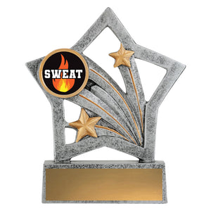 Flash_Sweat_Training_Fitness_Trophies 