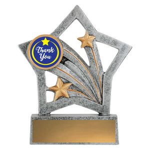 Flash - Thank You Academic Trophies