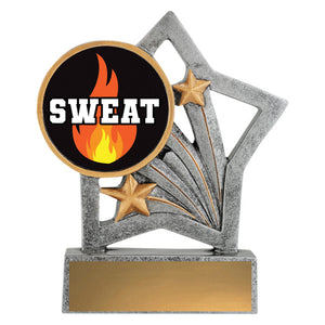 Flash-Sweat-Training-Fitness-Trophies 