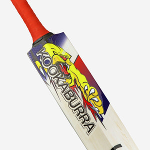 Kookaburra Beast Pro 2.0 EW Adult Cricket Bat