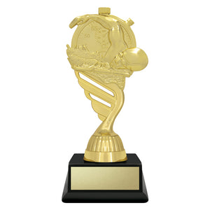 Budget-Gold-Swim-Trophies 