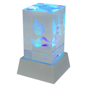 Light-Up-Crystal-Swim