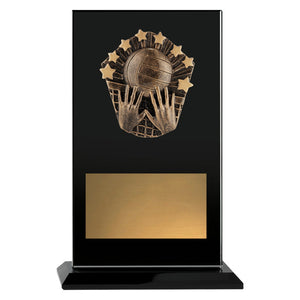 Cosmos-Glass-Volleyball-Trophies 