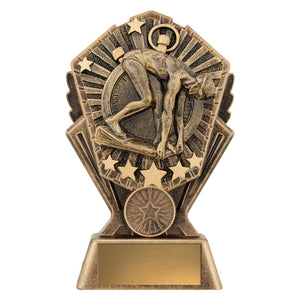 Cosmos-Male-Swimmer-Trophies 