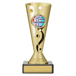 Swim-Aspire-Carnival-Cup-Trophies 