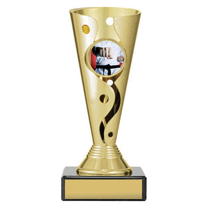 Martial_Arts_Aspire_Carnival_Cup_ Trophies