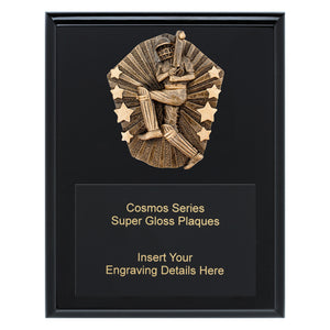 Cosmos Super Plaque - Male Batting