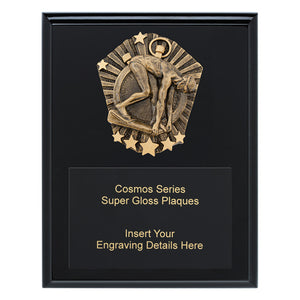 Cosmos-Super-Plaque-Male-Swim- Trophies 
