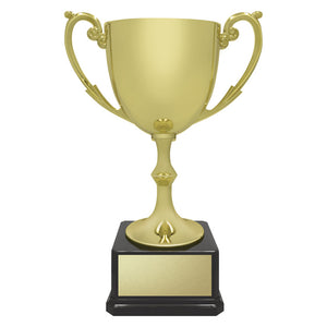 Recognition Cup