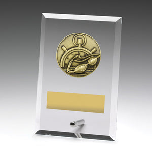 Glass-Plaques-Swim-Trophies 