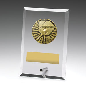Glass_Plaques_Pickleball_Trophies 