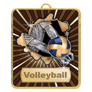 Gold-Lynx-Medal-Volleyball 