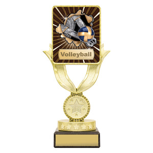 Lynx-Sentry-Volleyball-Trophies 
